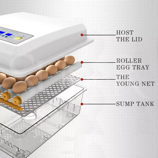 Estimated Shipping Date Jun 2022 Egg Incubator Fully Automatic Digital LED Hatch Turning Chicken Duck Poultry