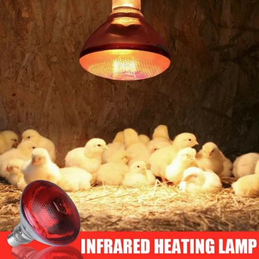 Estimated Shipping Date Jun 2022 Infra Red Heat Lamp Poultry Brooder Chicks Waterproof Hatching Piglet Bulbs