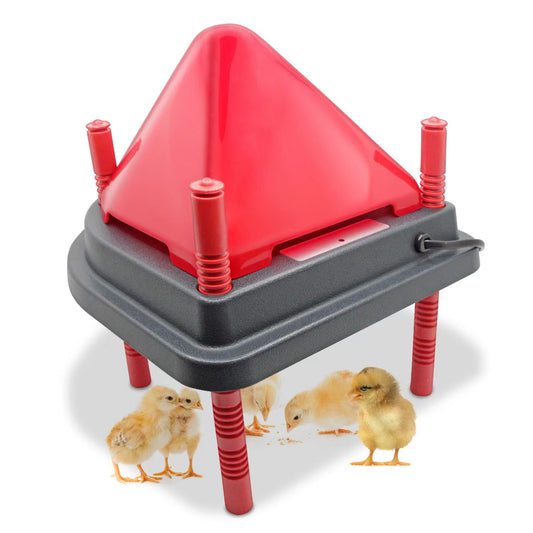 Estimated Shipping Date Jun 2022 Electric Chick Brooder Heating Plate